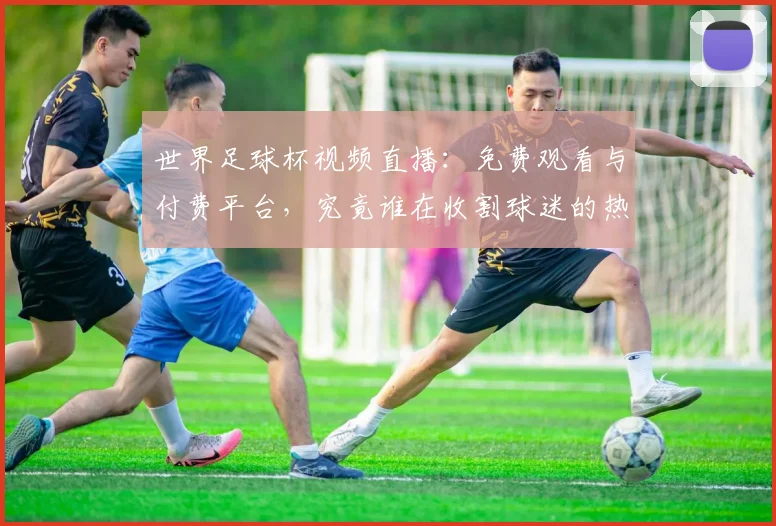 世界足球杯视频直播：免费观看与付费平台，究竟谁在收割球迷的热情？