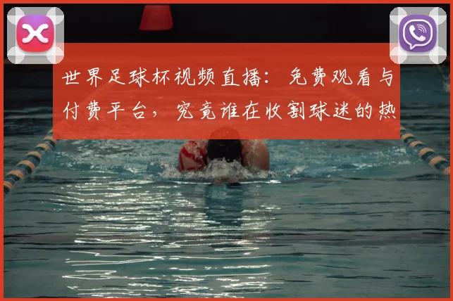 世界足球杯视频直播:免费观看与付费平台,究竟谁在收割球迷的热情?